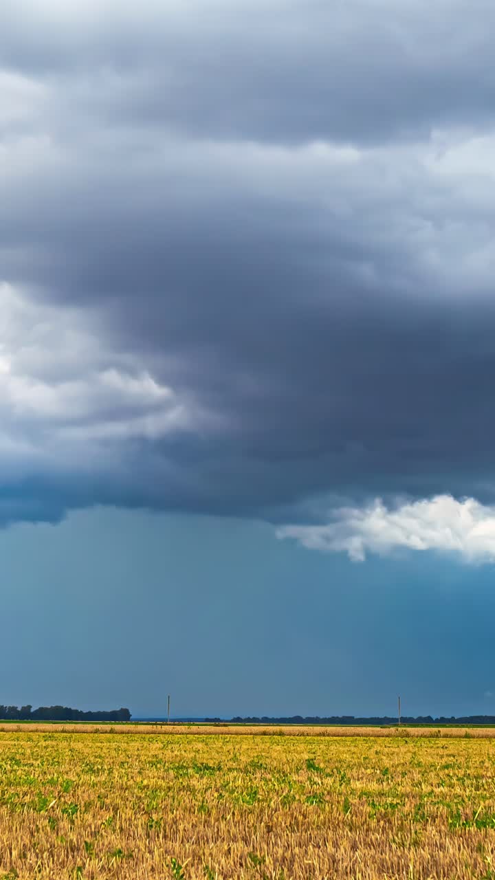 Vertical time lapse of dramatic storm clouds, both white and dark, forming and moving quickly above a golden yellow harvested crop field in rural Latvia
