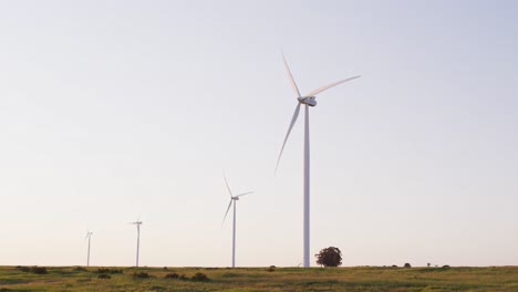 Gesamtansicht-Von-Windkraftanlagen-In-Ländlicher-Landschaft-Mit-Wolkenlosem-Himmel