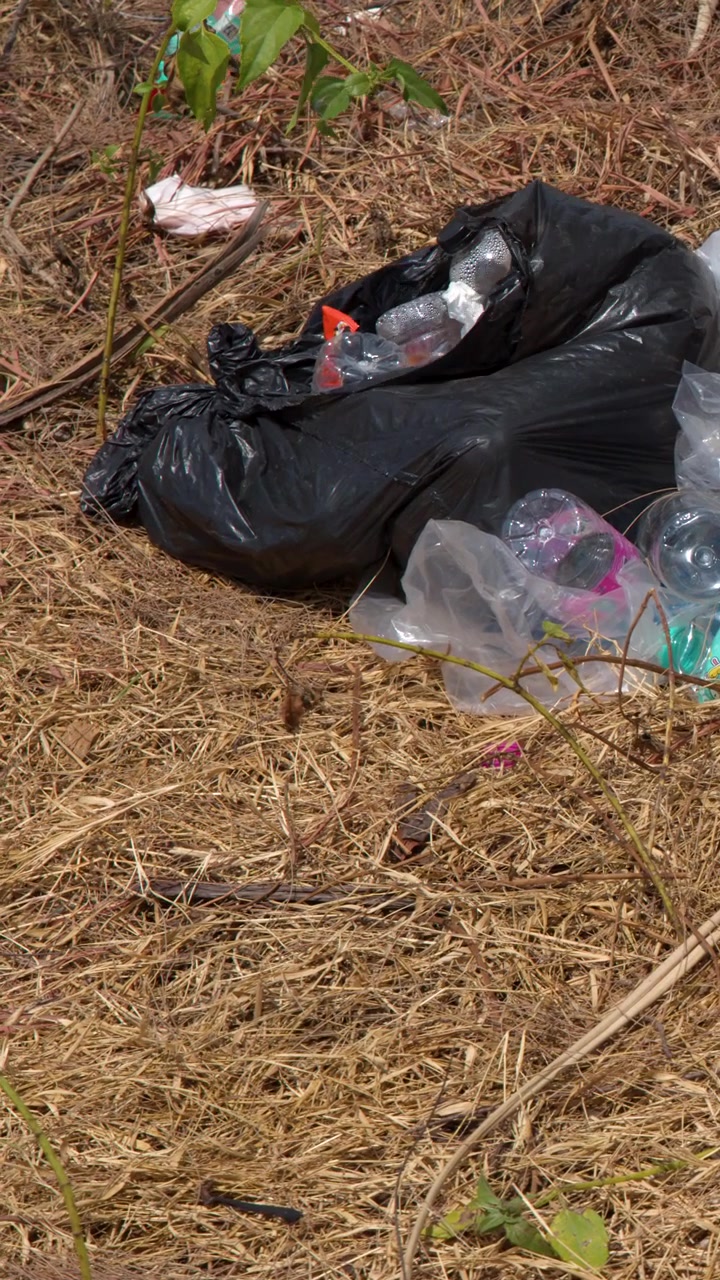 Inquadratura media statica di rifiuti di plastica e sacchi della spazzatura neri abbandonati sull'erba tropicale secca.