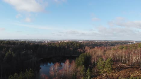 Ruhige-Naturflusslandschaft-Im-Schwedischen-Wald