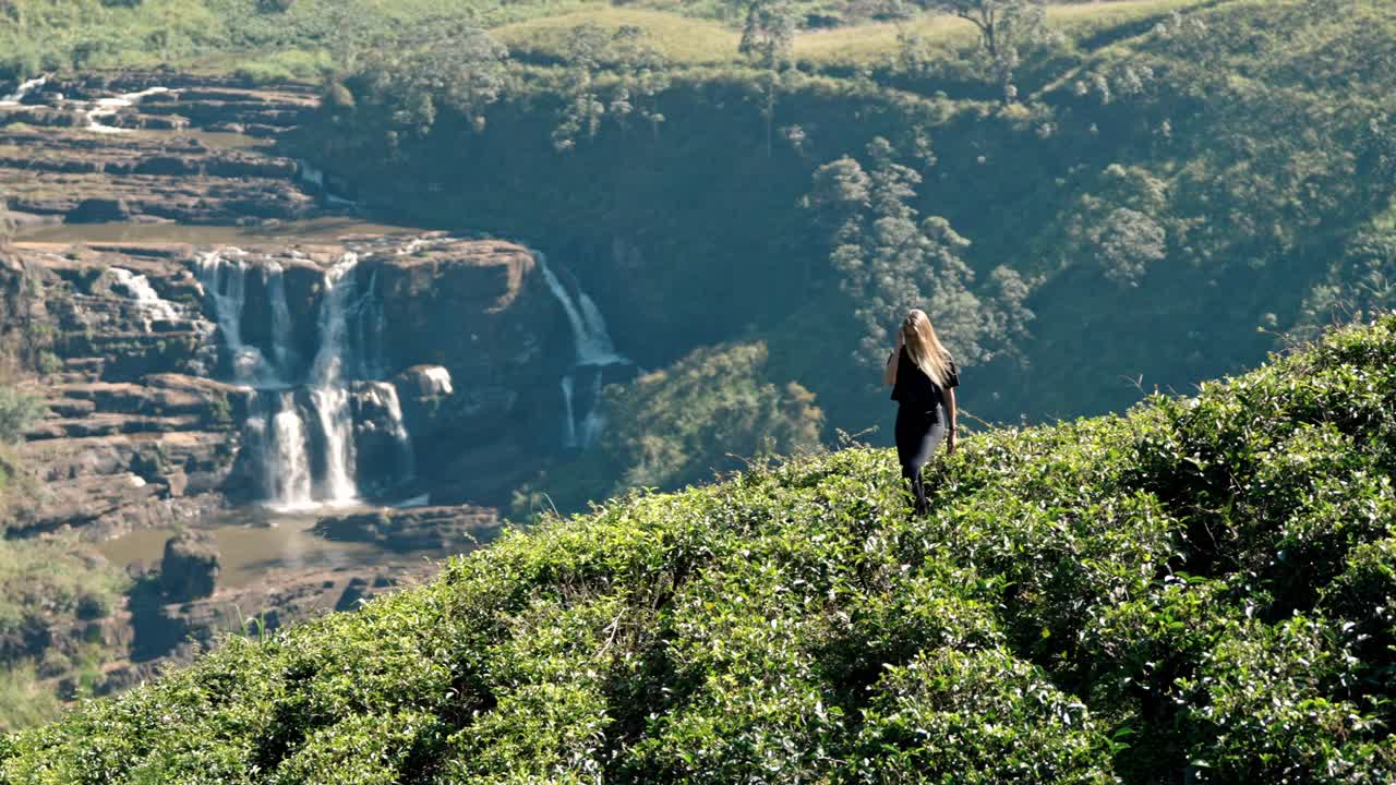 Woman walking through the scenic Saint Clair’s tea plantations in Nuwara Eliya, Sri Lanka. The lush green landscape and neatly aligned tea bushes showcase the beauty and tradition of Sri Lanka.