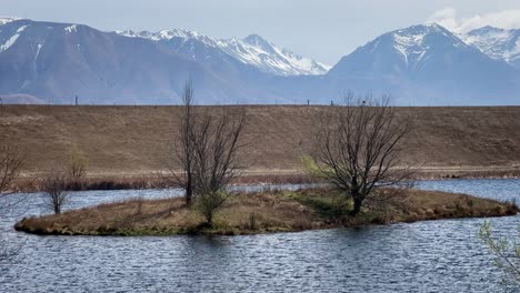 tiny island at loch cameron, new zealand