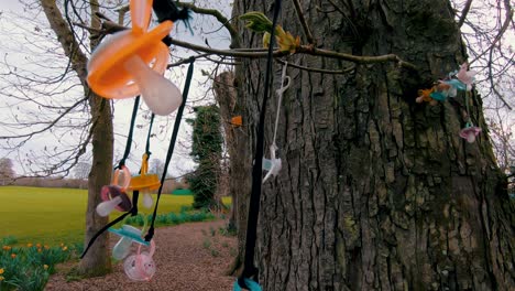 Mysterious-creepy-baby-bottle-nipples-hanging-from-a-tree-branch,-pedestal-shot