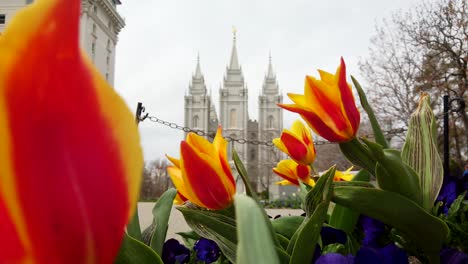 templo de lago salado para la iglesia de jesucristo de los santos de los últimos días en primavera con hermosas flores que adornan los terrenos del templo