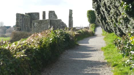 a walkway towards ruins of the st peter and paul cathedral in trim, meath, ireland