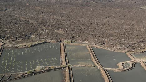 paisaje volcánico de volcán campo de lava solidificado