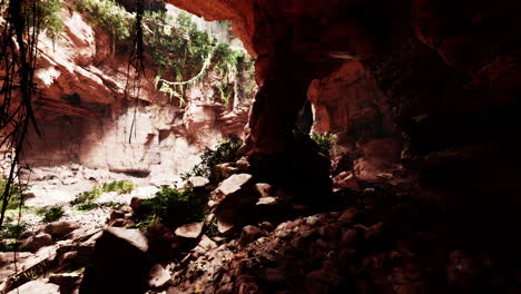 una cueva en un cañón