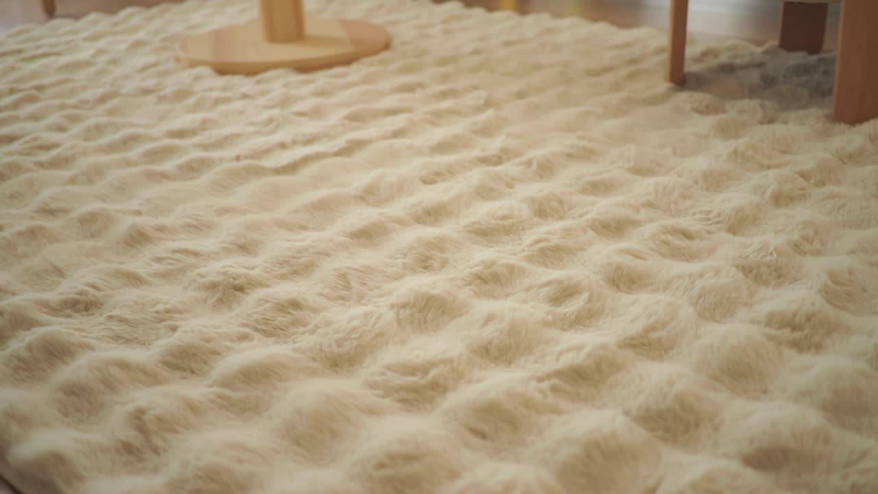 Close-up of a fluffy carpet with furniture