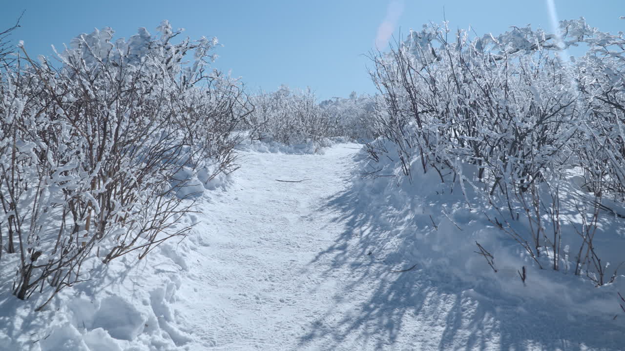 겨울에 하이킹하는 사람의 pov balwangsan 산 모나 공원은 푸른 하늘에 신선한 눈으로 여 얼어붙은 날 - 앞으로 밀어