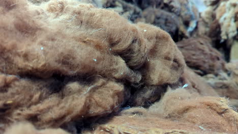 panning closeup shot of alpaca wool ready to be processed into textiles