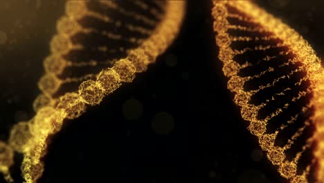 dos cadenas de adn del plexo giratorio con impulsos que atraviesan - versión naranja dorado