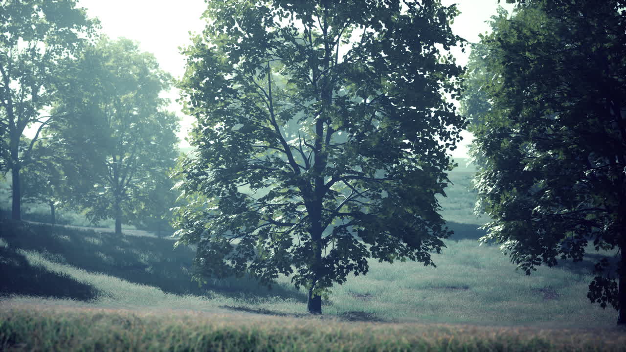 해가 지는 도시 의 초록색 공원