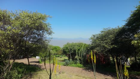 serene garden landscape with mountain view