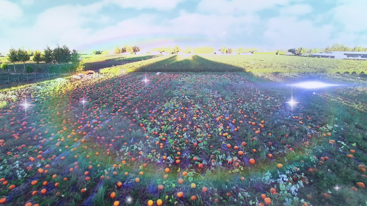 움직이는 시골 풍경 위의 무지개 안개의 비디오