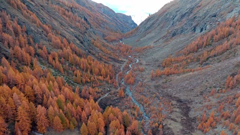 Aerial-forward-in-picturesque-mountain-valley-in-October-with-orange-forest