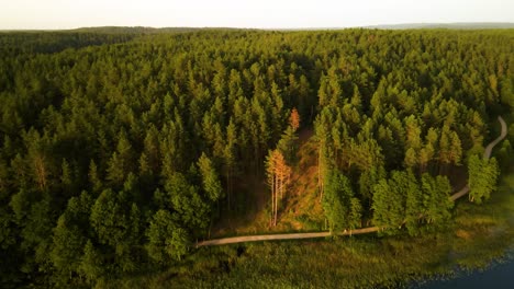 Una-Vista-Aérea-De-Bosques-Verdes-Cerca-De-Un-Gran-Lago-Azul-En-El-Campo-De-Lituania