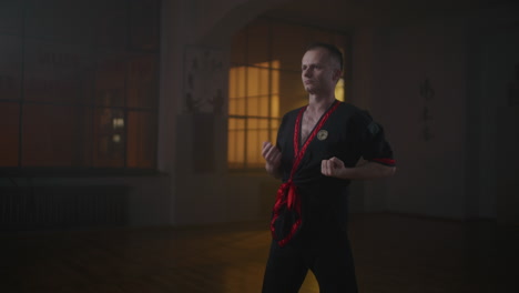 man practicing kung fu/wushu