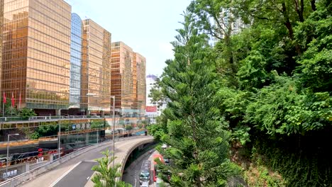 calle de la ciudad flanqueada por árboles y edificios