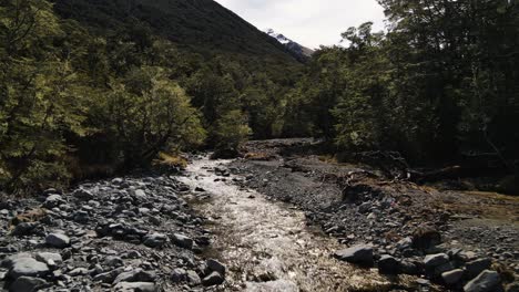 Siguiendo-Un-Río-Río-Arriba-A-Través-De-Un-Bosque