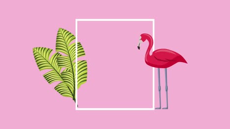 plantilla de verano tropical