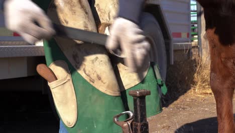 a farrier grabs his file tool and uses it to groom the bottom of a horses hoof, close up shot