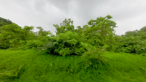 black clouds and greenery forest view from train window in konkan railway