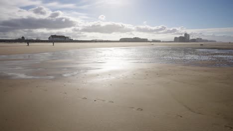 People-with-dog-walking-on-the-pristine-beach-on-the-North-Sea-shore-of-Ostend,-Belgium-coast