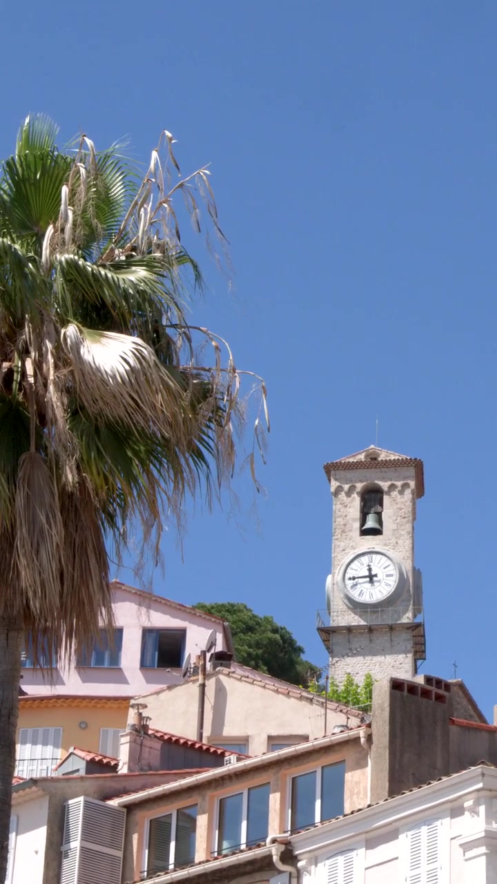 Una lenta panoramica rivela una storica torre dell'orologio dietro una palma in pieno sole.