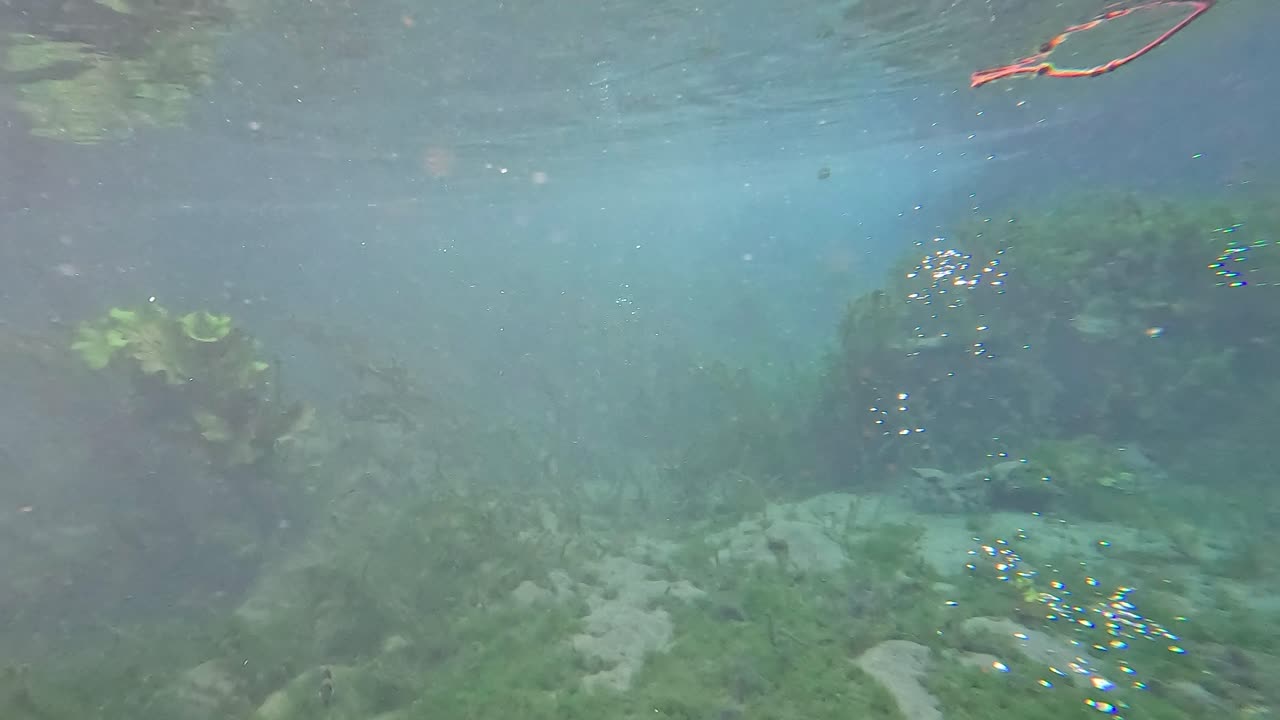 escena submarina serena con escombros flotantes