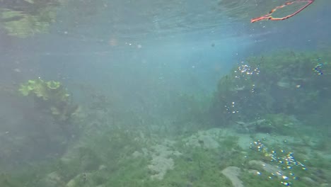 escena submarina serena con escombros flotantes