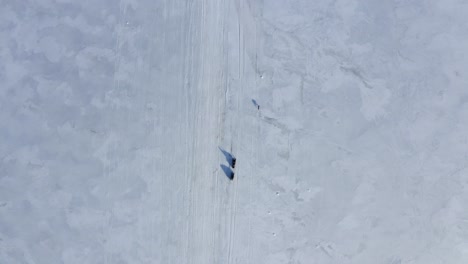 top down drone video of dog running on icy lake in front of a snowmobile