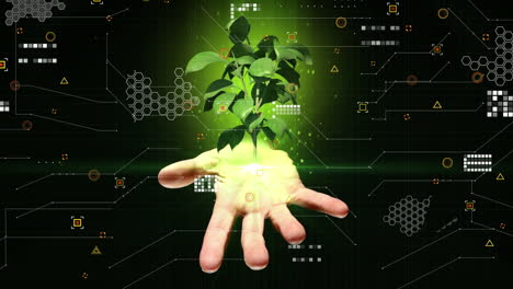 animación de la mano con árbol y procesamiento de datos sobre fondo oscuro