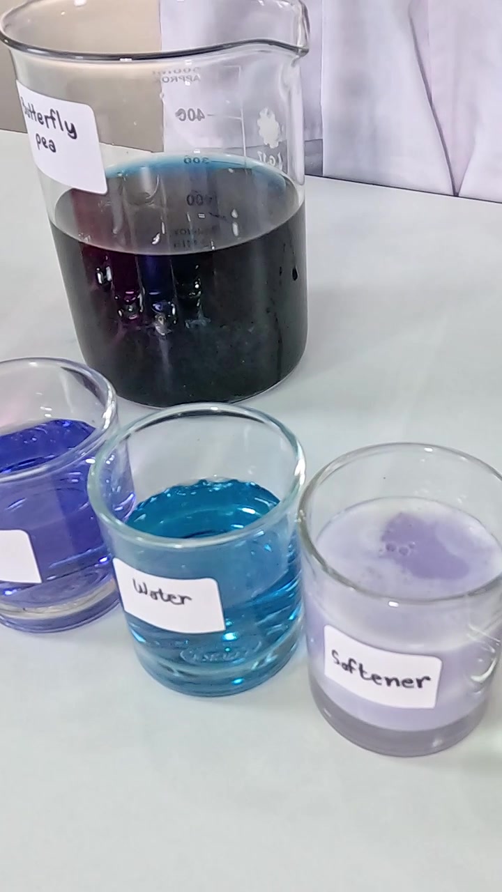 Experimento con flor de guisante de mariposa y productos químicos