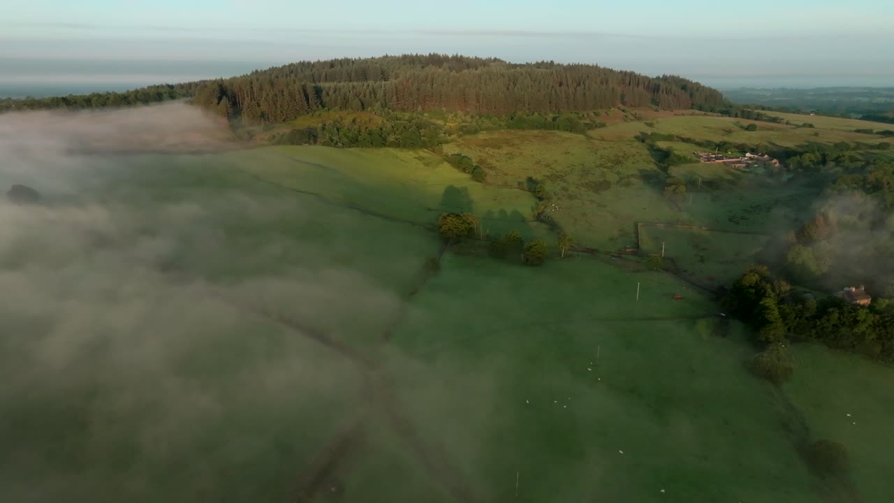 Fog over farmer's fields with camera flight towards wooded hill Beacon Fell at sunrise. Summer. Trough of Bowland, Lancashire, England, UK