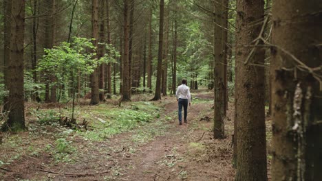 a man wearing a white shirt is seen from behind as he walks away on a path deep into a dense, green pine forest. the shot follows him, symbolising a journey, solitude, escape, and contemplation