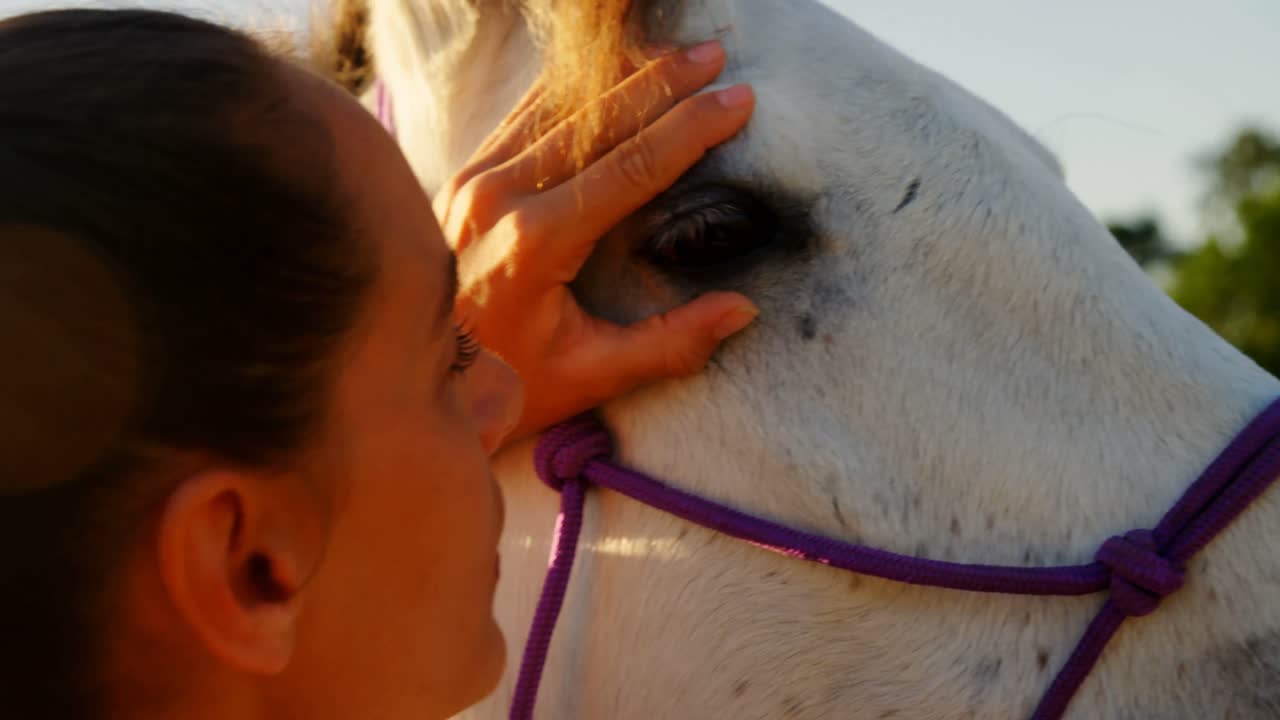 수의사 가 말 을 검사 하고 있다 4k