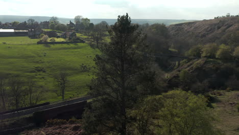 Kreisförmiger-Vorbeiflug-Am-Tannenbaum-Im-Nationalpark-North-York-Moors