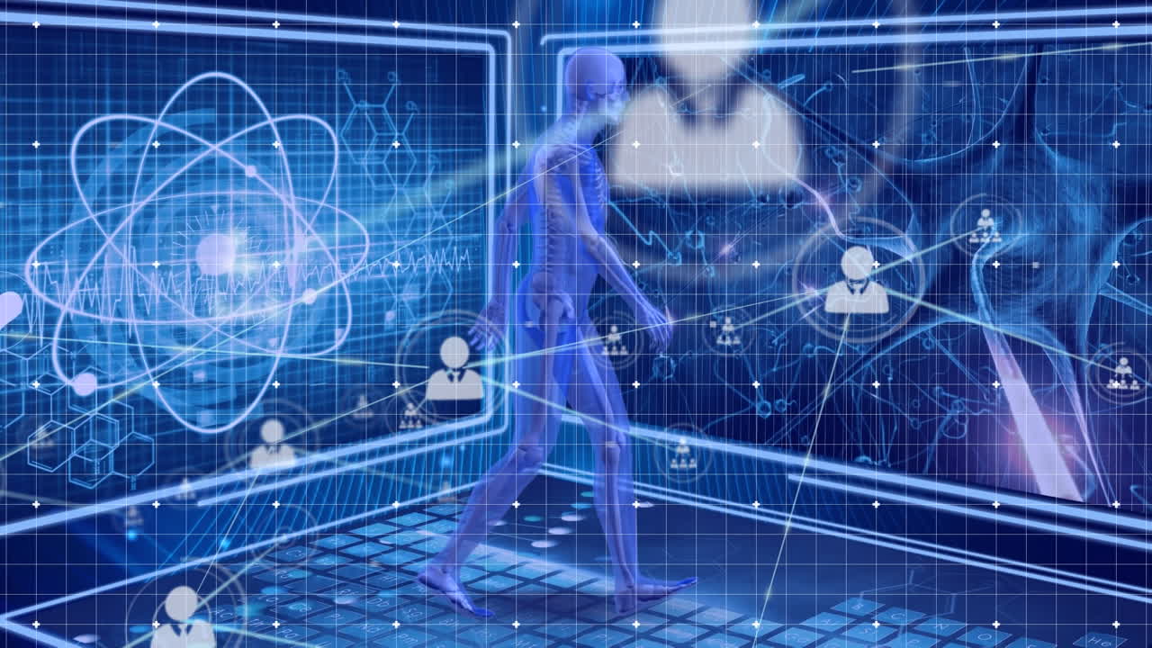 Animation of network of connections over digital human model