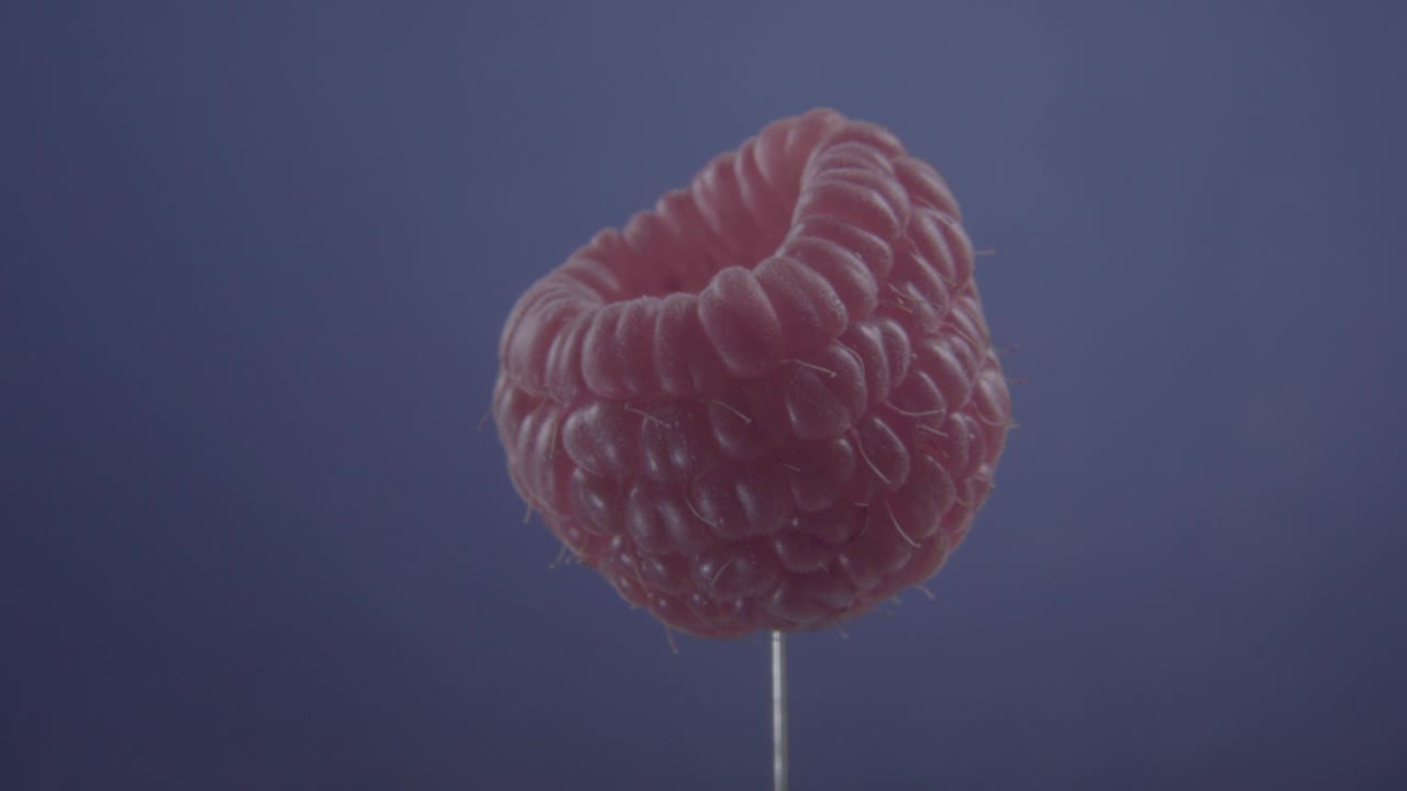 Lampone che ruota in loop su schermo blu per chroma key