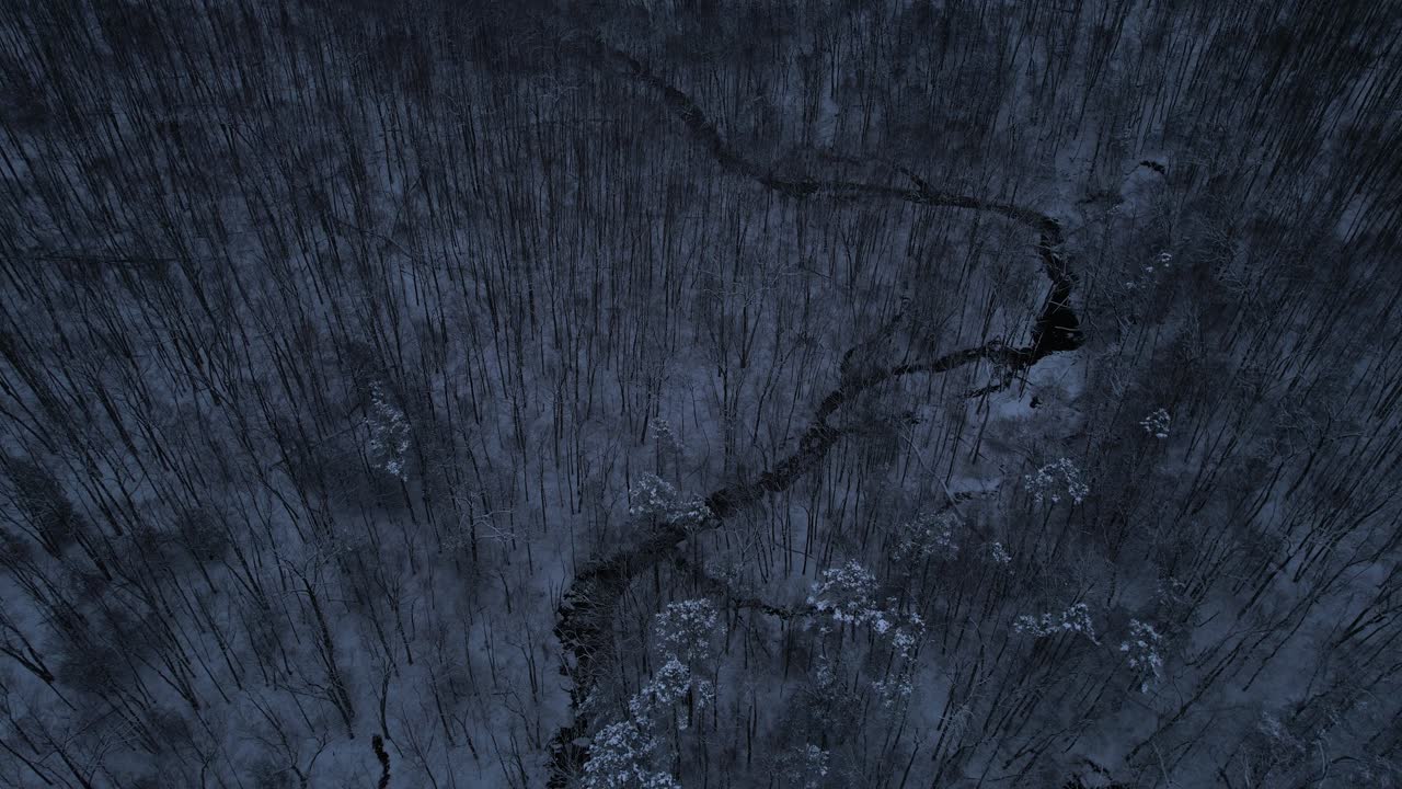 сверху вниз видеозапись красивого, заснеженного лесного ручья и леса ночью