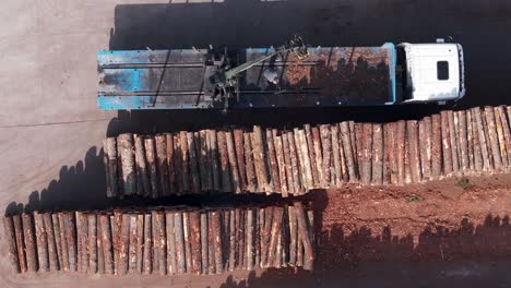 trabajador quitando el aserrín de la plataforma del camión después de descargar la madera en la fábrica de aserraderos