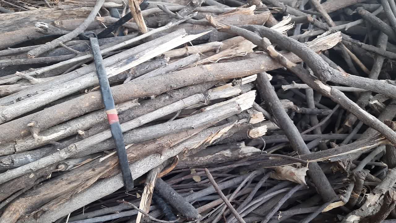 나뭇가지를 조각으로 자르고 더미에 넣은 패닝 샷