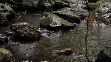 streams in natural bridge, springbrook national park, gold coast hinterland, australia