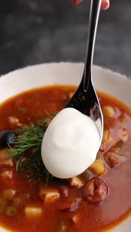 solyanka soup with sour cream