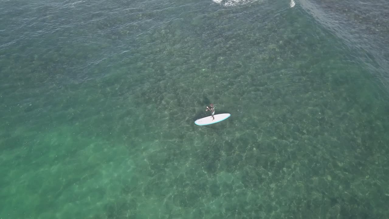antena oceánica: stand up paddleboard en aguas poco profundas en un día soleado