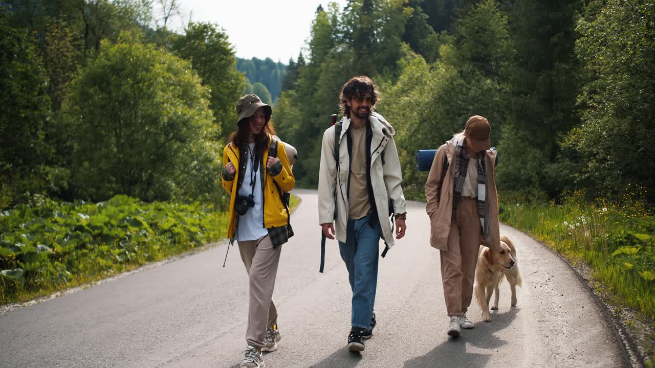 A guy and two girls in special clothes for a hike along with their light-colored dog walk along the road along the forest in a mountainous area