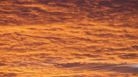 bright colorful sunset sky with vivid smooth clouds illuminated with setting sun light spreading to horizon