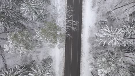 Vista-Aérea-De-Drones-Del-Bosque-Nevado-Y-La-Carretera-Rural-En-El-Condado-De-Kaunas,-Lituania