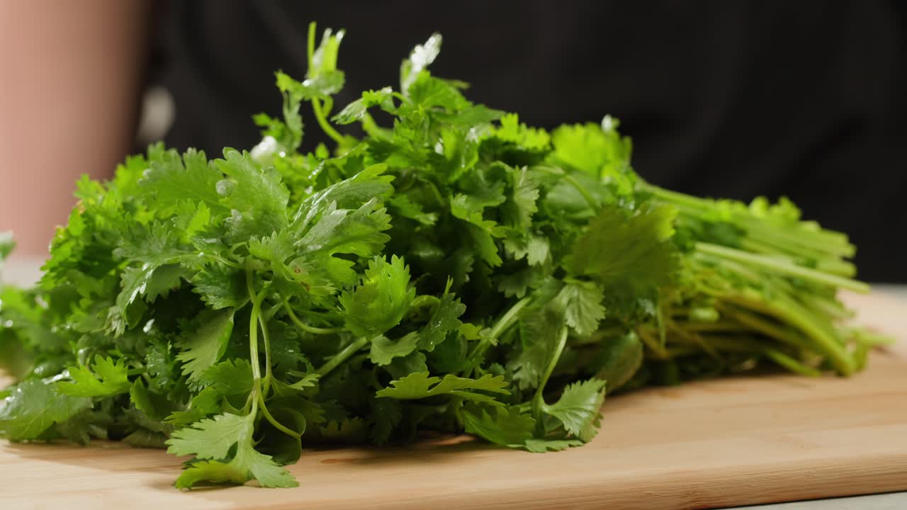 Cilantro parsley cutting by knife close up, chef chop cut coriander aromatic, traditional asian and Mexican cuisine herb studio shot. High quality 4k footage