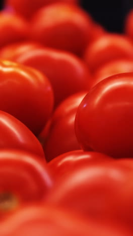 primer plano de los tomates crudos